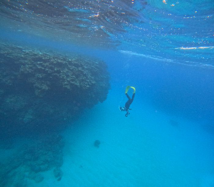 スキンダイビングを楽しむ