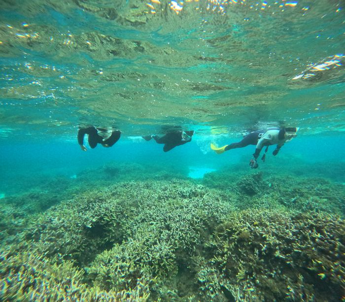 素潜りトライを繰り返す