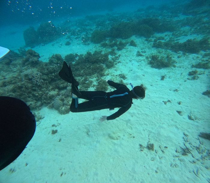 お母さんも潜る