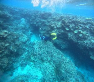 冬の特徴、透明度抜群の海をスキンダイビング三昧！