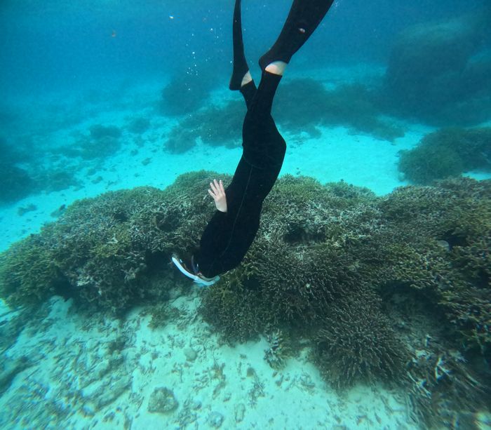 到着日はアクセル全開シュノーケリング