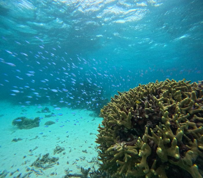 透明度抜群、雨でも大丈夫