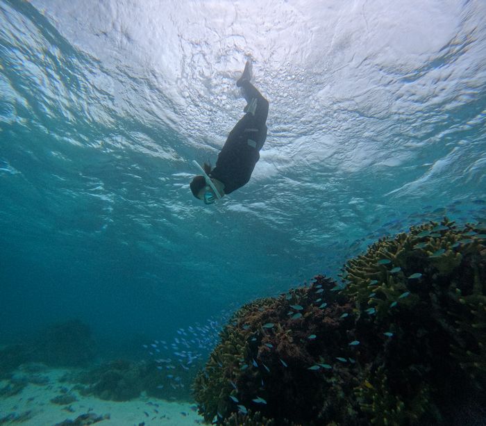 素潜りに目覚めた瞬間