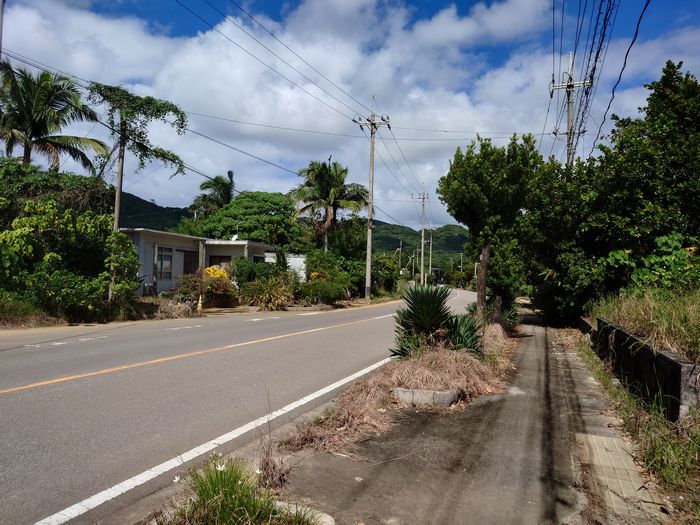 おうちの前の植栽コーナー
