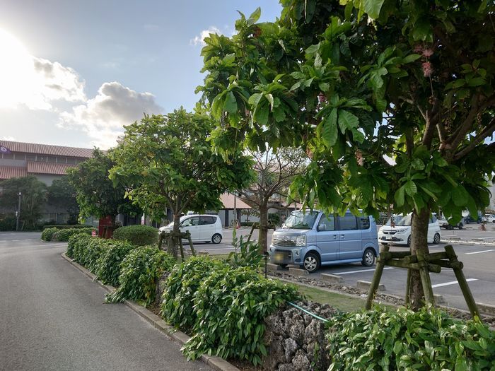 ここは石垣市役所の駐車場