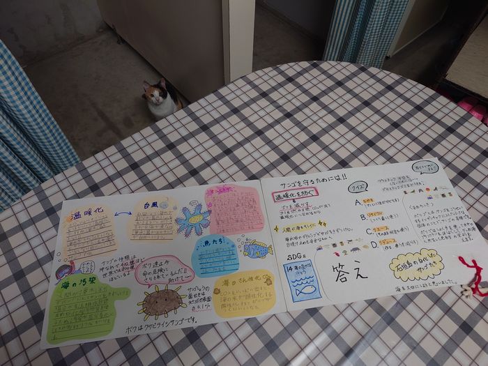 いろんなこと勉強しました