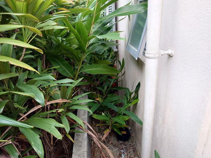 事務所裏の通路