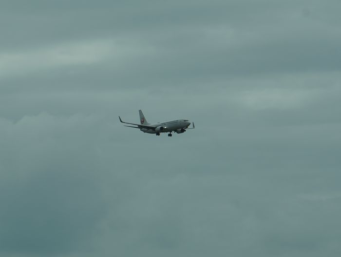 近く見れた飛行機