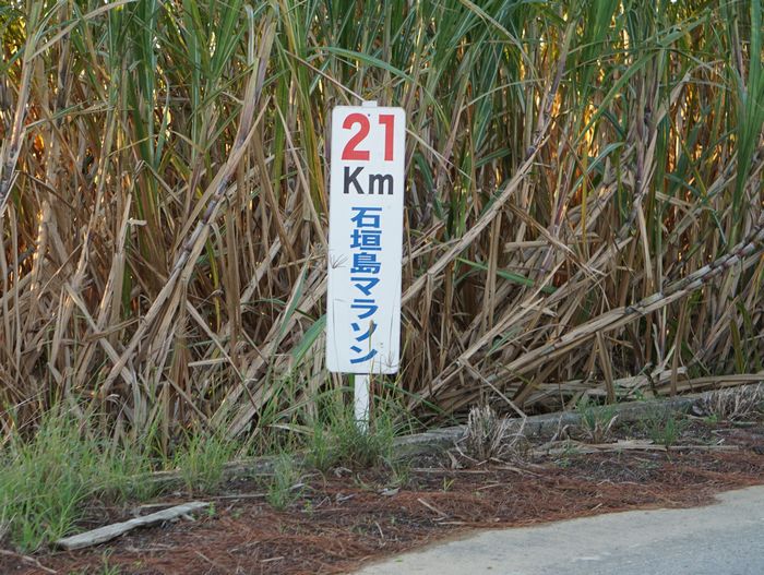 いよいよ看板が設置！マラソン