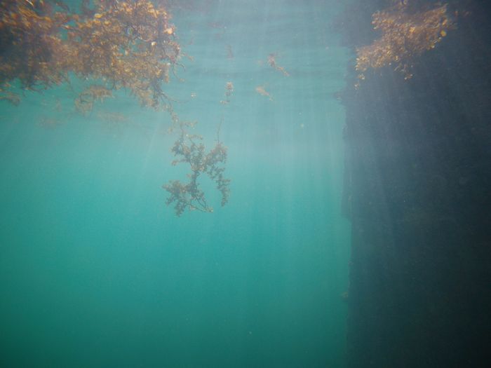 濁りあり、港の中