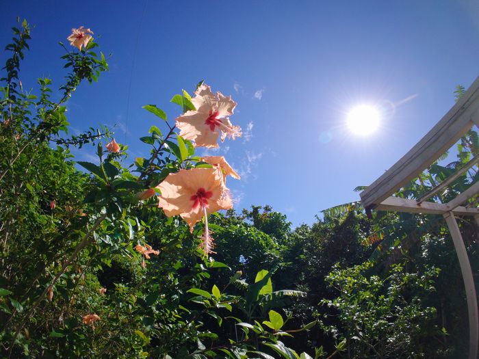 お客さんがいない日は晴れる