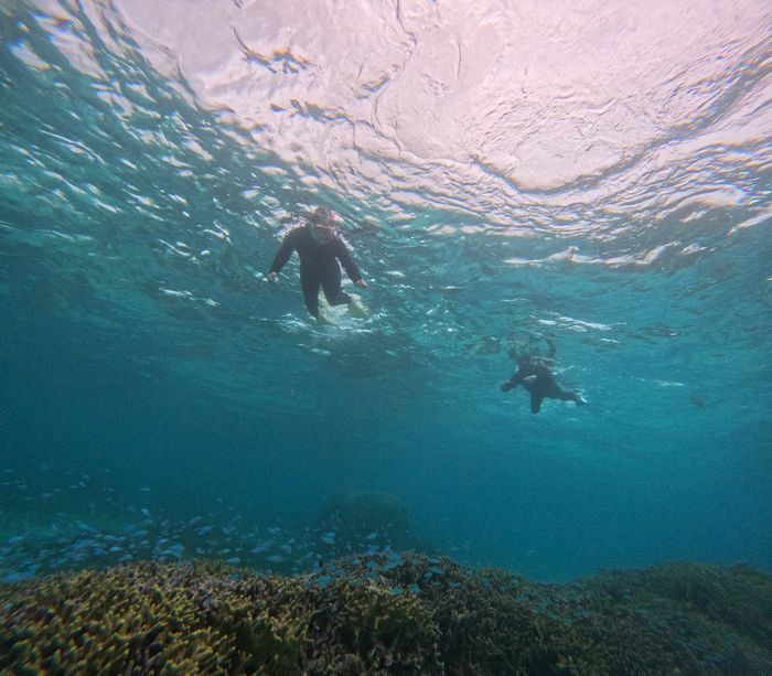 雨でも透明度抜群
