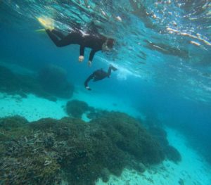 石垣島11時着！ゴーヤチャンプルを食べて午後の半日シュノーケリング♪