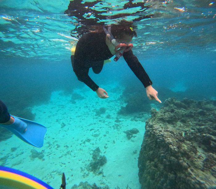 お魚さんを楽しむ