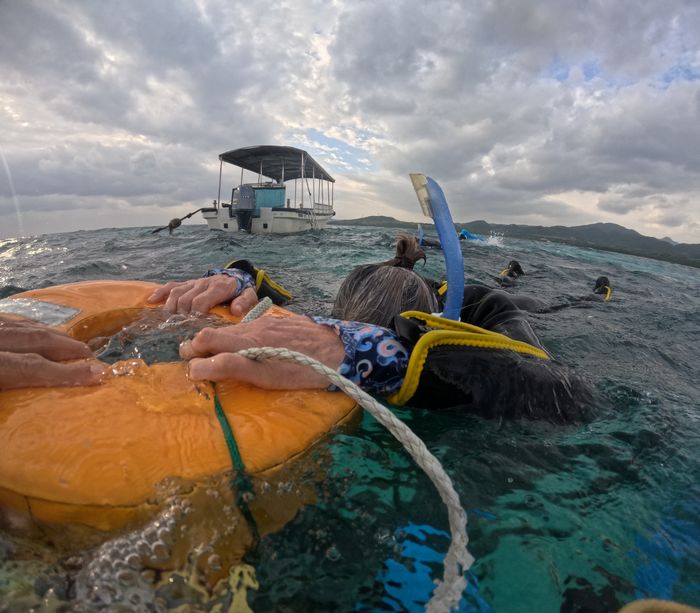 最初は不安強め