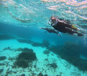 石垣島は夏も冬もシュノーケリングを楽しめます♪