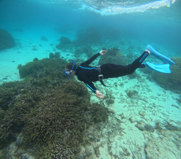 旦那さんは潜りトライ