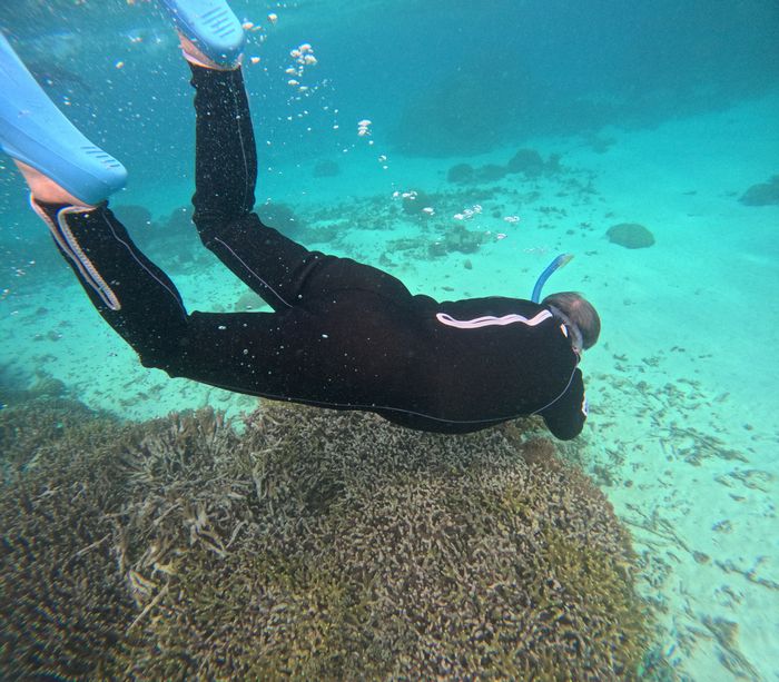 素潜りしちゃってます