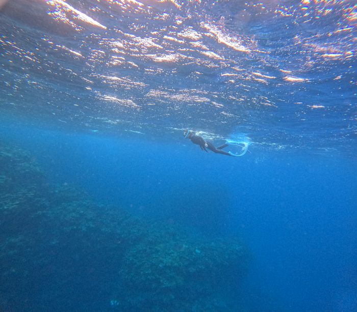 石垣島在住、筋金入りのスキンダイバー