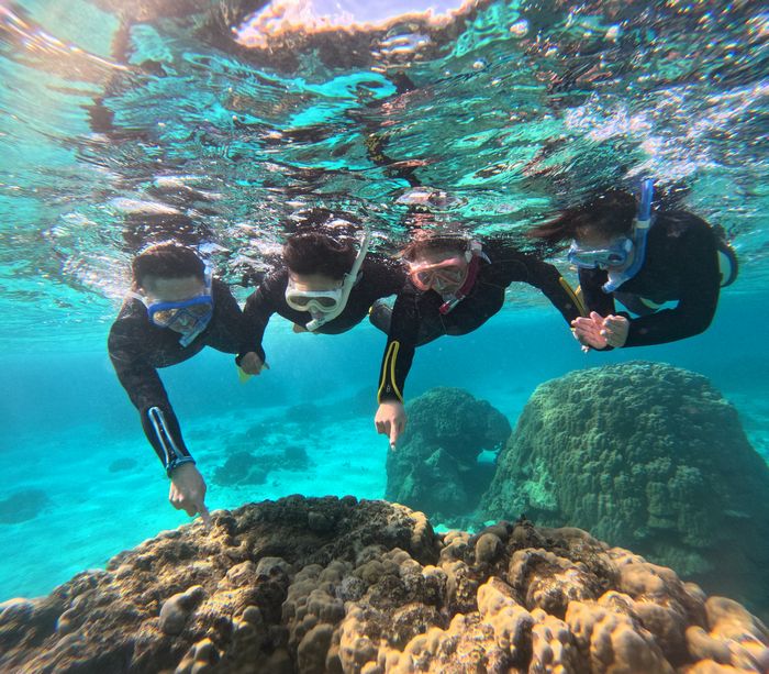 シャコガイ探しを楽しむ