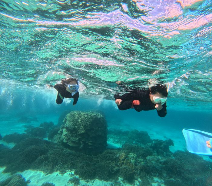 ちびっこチーム、活発で