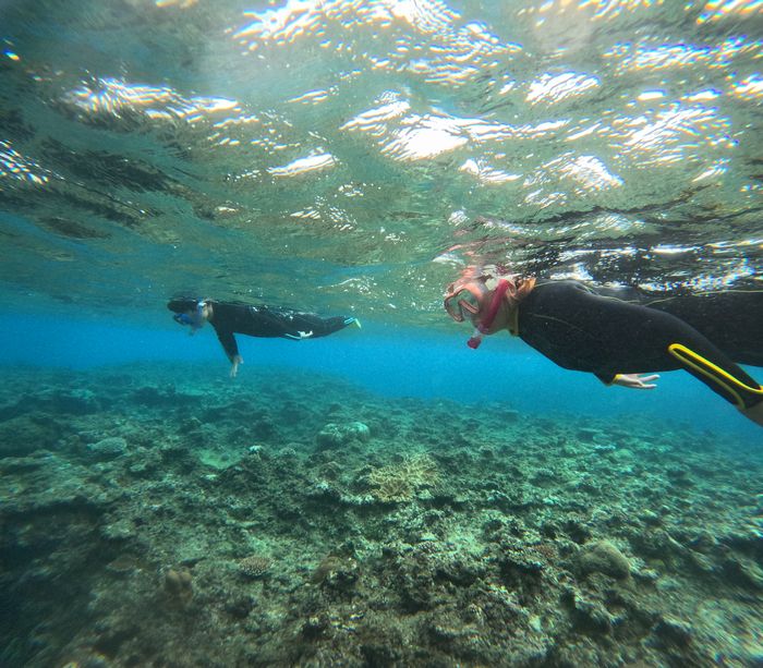 お父さんとお母さんも海を楽しむ