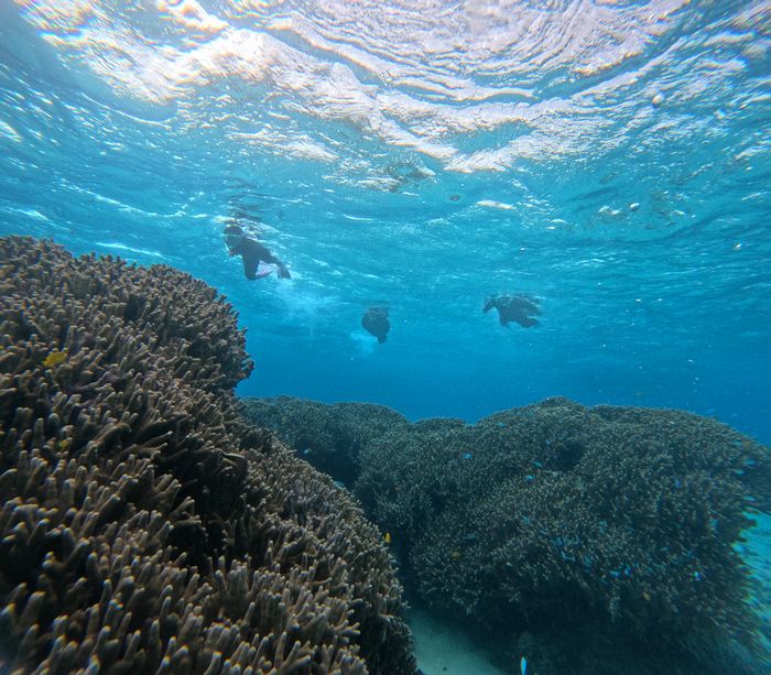 リピーターD口さん