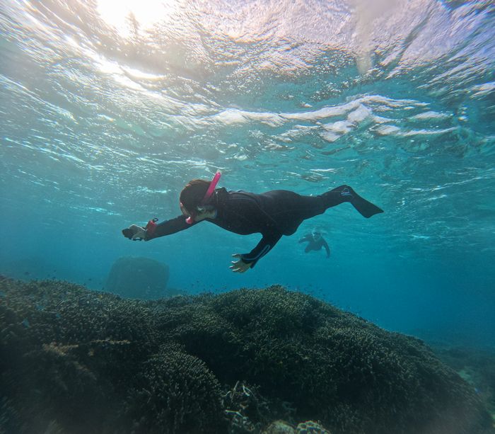 お母さんも潜る