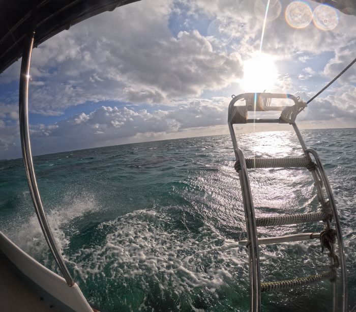 太陽さん顔を出して