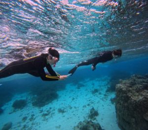 波ありなれどカラフル熱帯魚、サンゴわしゃわしゃコースは大得意！