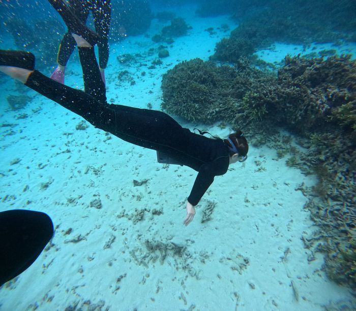 ドボンと潜っても見る