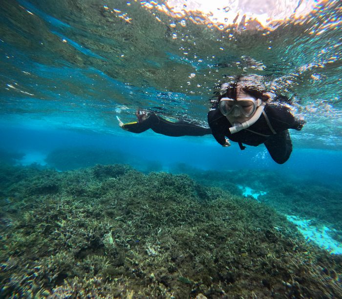 カラフルお魚さんを楽しみたい方々