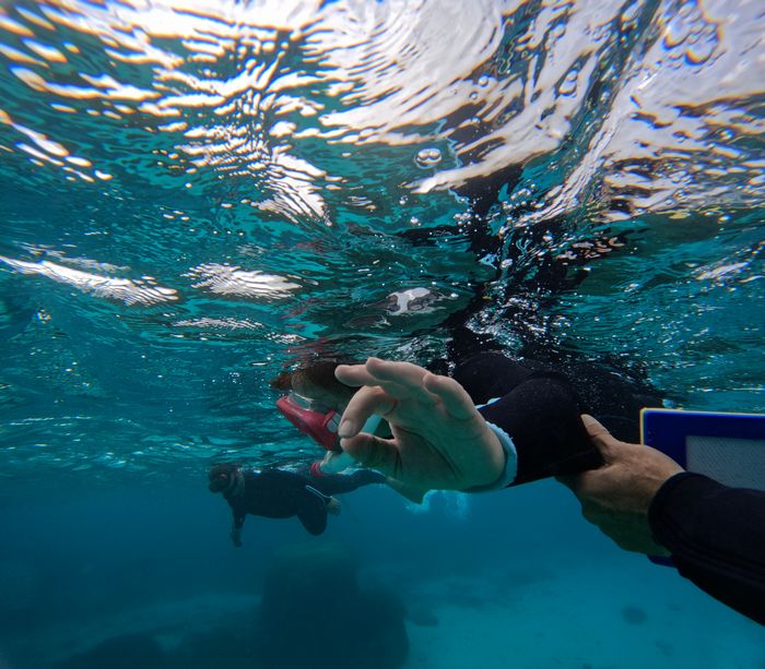 Okサインの奥さん