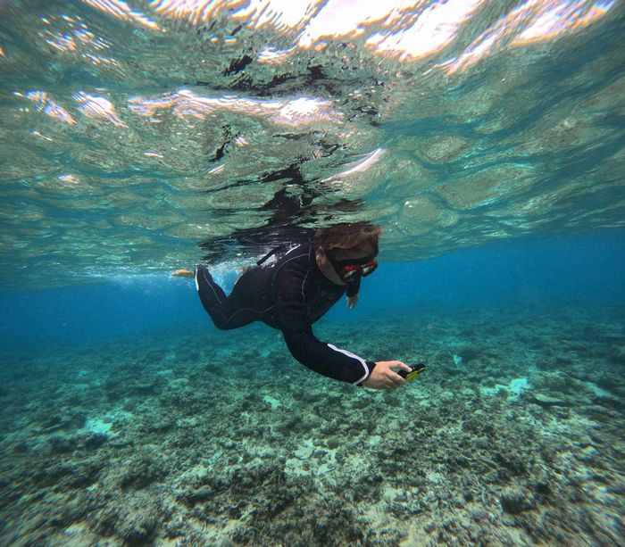 カメラを楽しむ