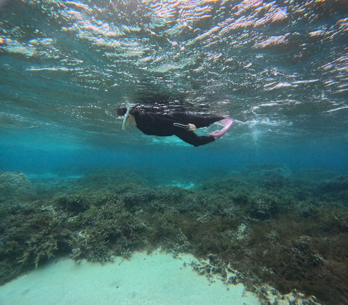 冬でもシュノーケリング