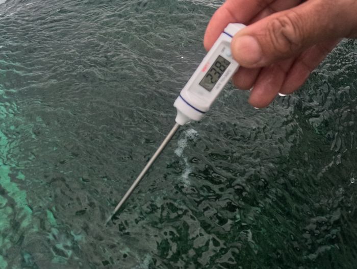 12月の石垣島、水温23.8℃