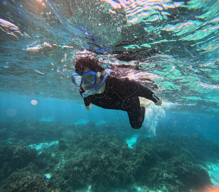 初石垣島初シュノーケリング