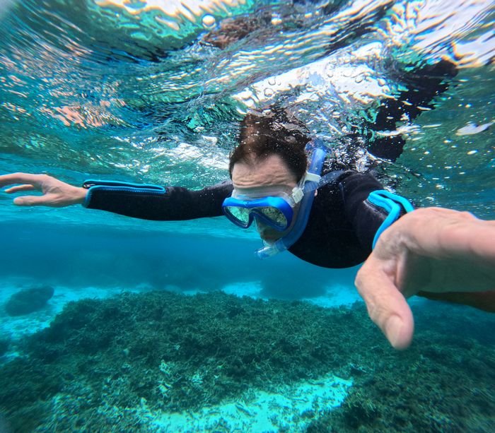 基本動作のチェック