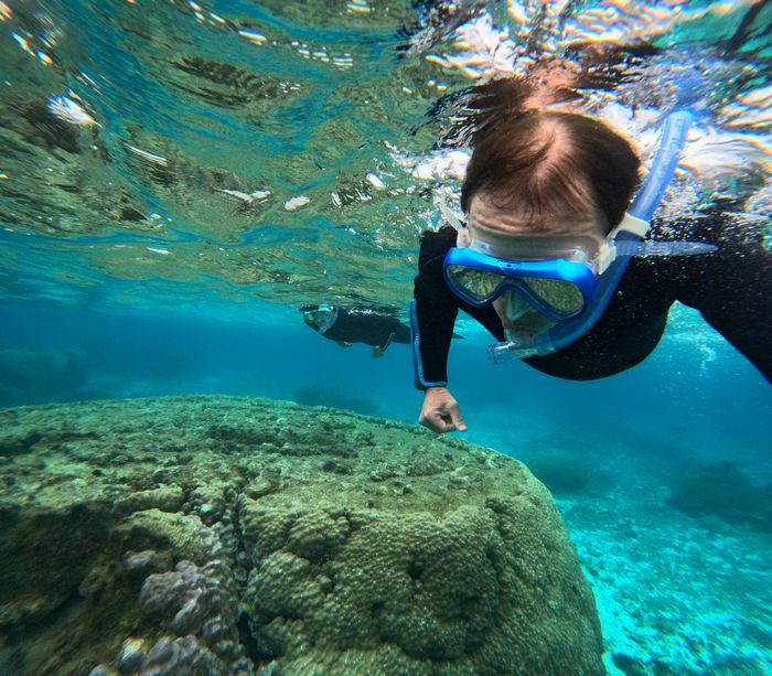 初シュノーケリングにブランク10年