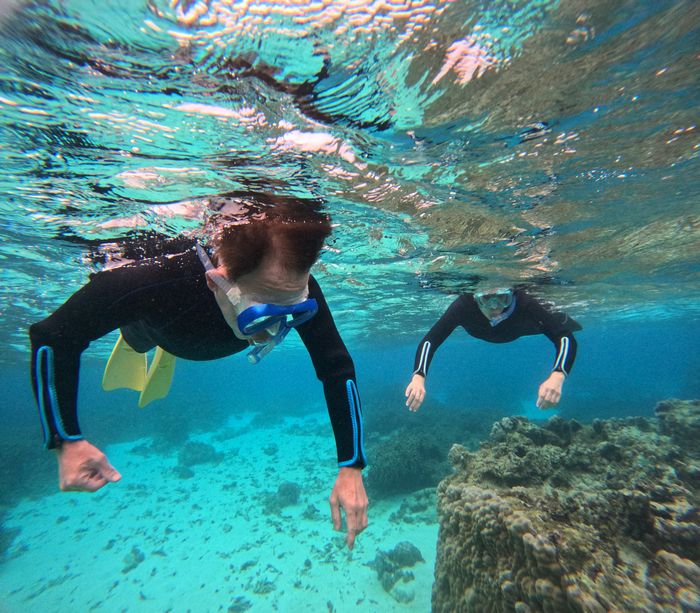 じっくり海を楽しみました