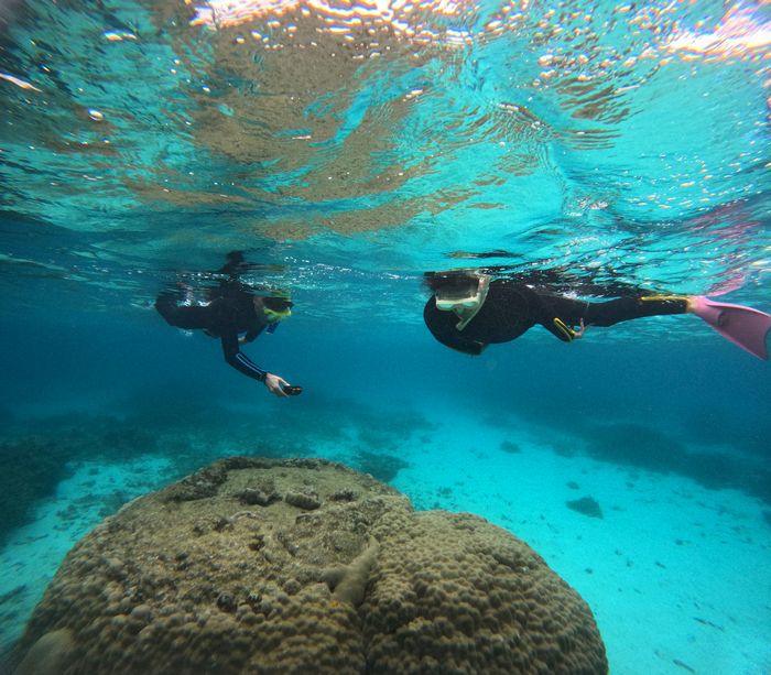 H田さんご夫婦です。