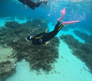 初シュノーケリングの方や初石垣島の方々♪海の楽しみ方は？