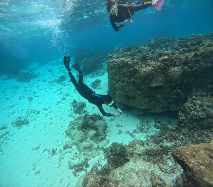 旦那さんも潜る