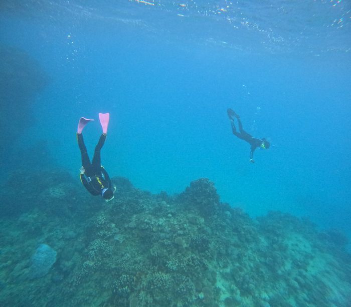ご夫婦そろって水中世界へ