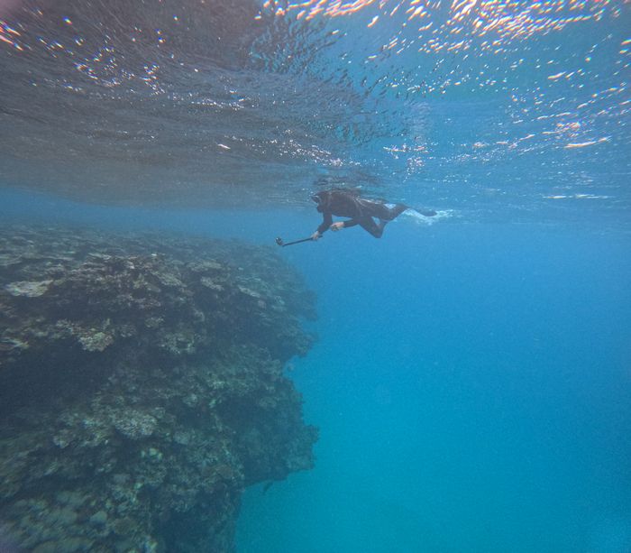 予定通りに深場も