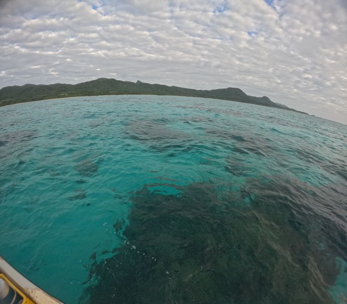 透明度抜群の海