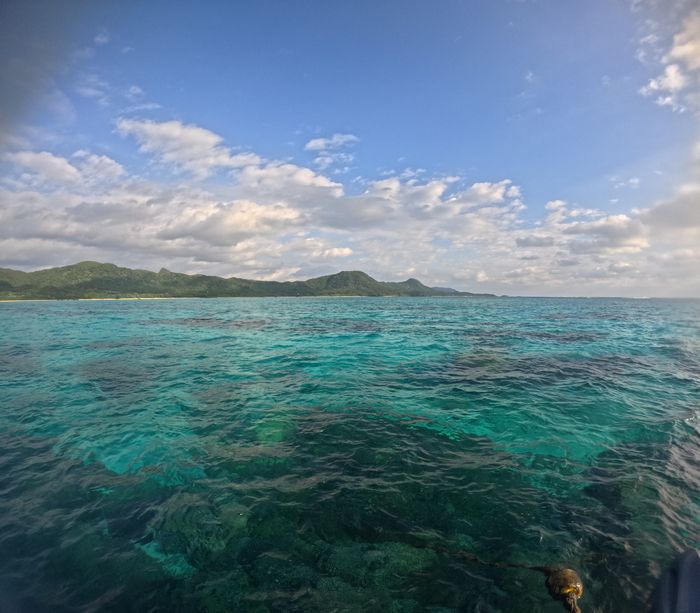 午前は落ち着いています