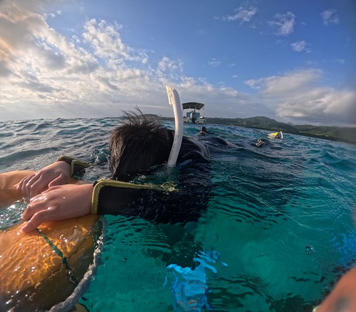 基本をチェック