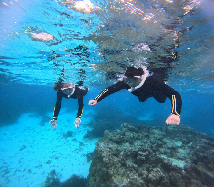 お母さんと泳いで