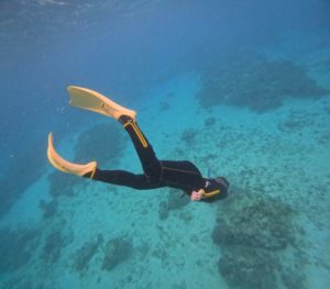 荒波体験ツアーなれど、潜って楽しんだスキンダイビング